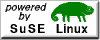 Linux SuSE